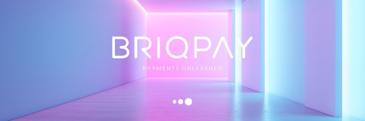 Briqpay banner