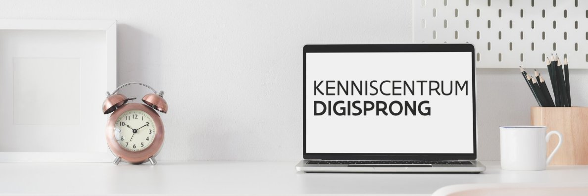 Davy Van Hemelen banner