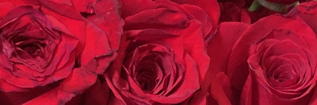 UseTheSameSpoon's profile banner image