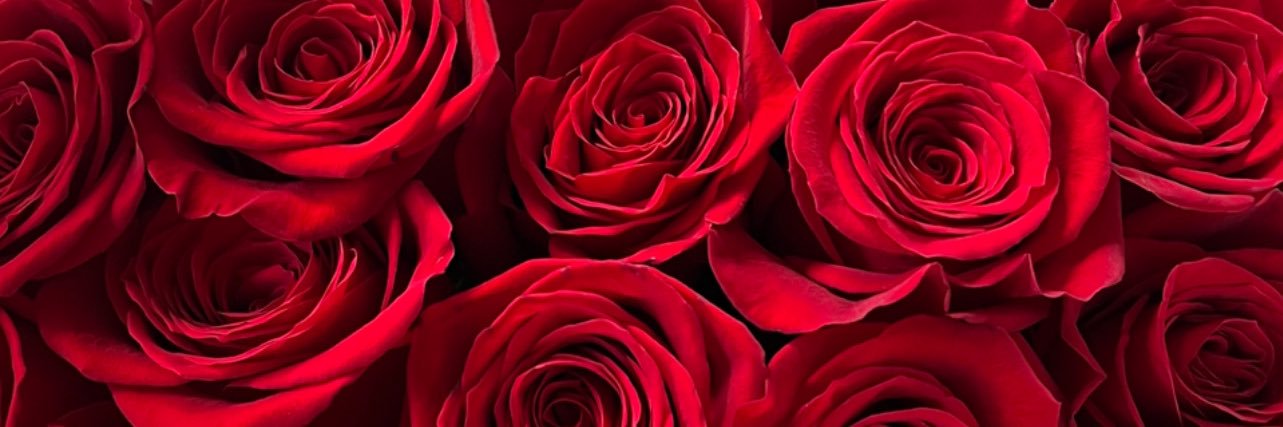 Fall_OnLove's profile banner image