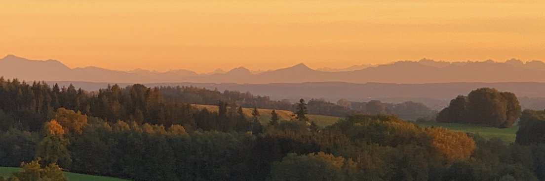 vepam.vet Ⓥ banner