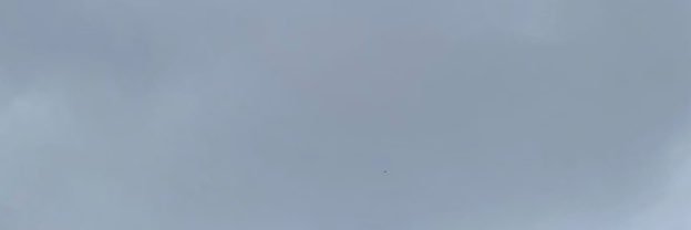 cattyyy333333's profile banner image