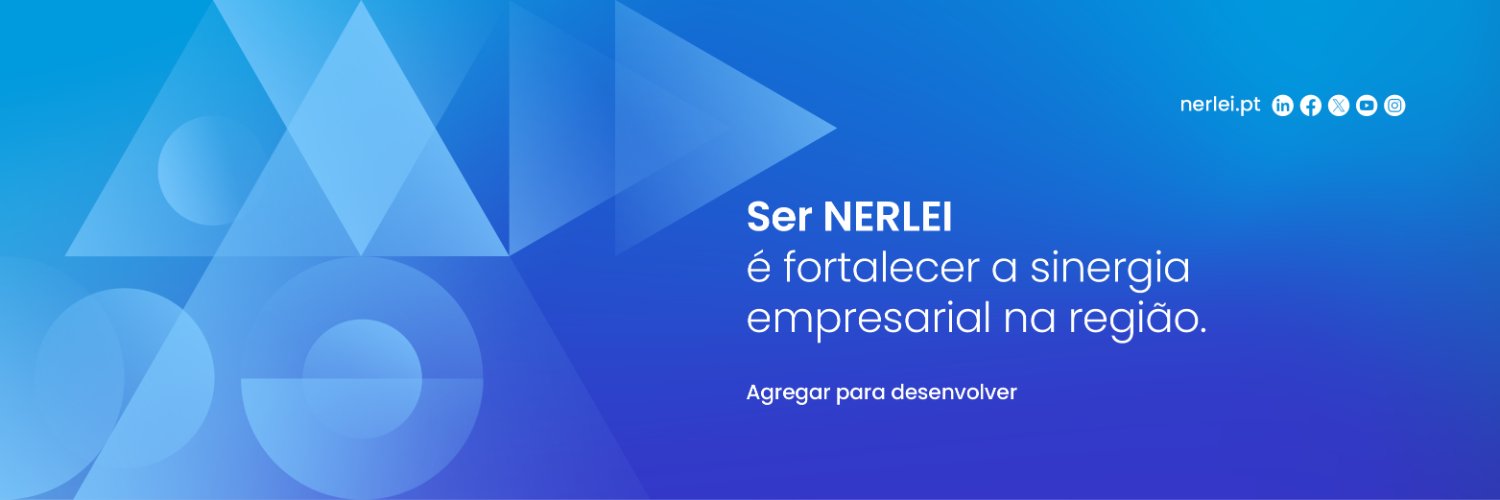 _NERLEI's profile banner image
