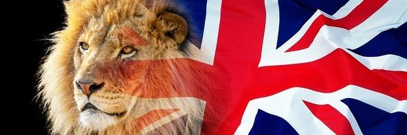 Lee Borrell banner