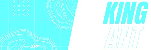 KingAnt Profile Banner