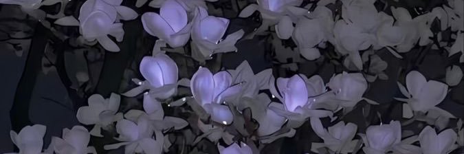 رنا banner