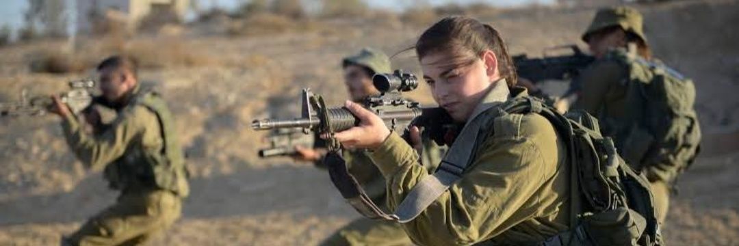 הנוקמת banner