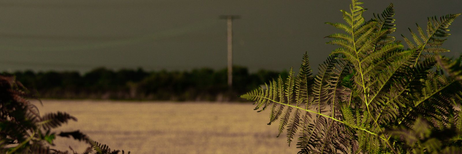Steillingworth's profile banner image