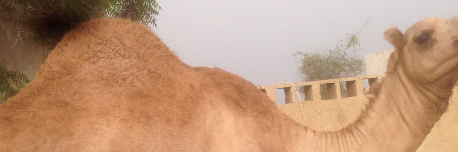 hoot4x4's profile banner image