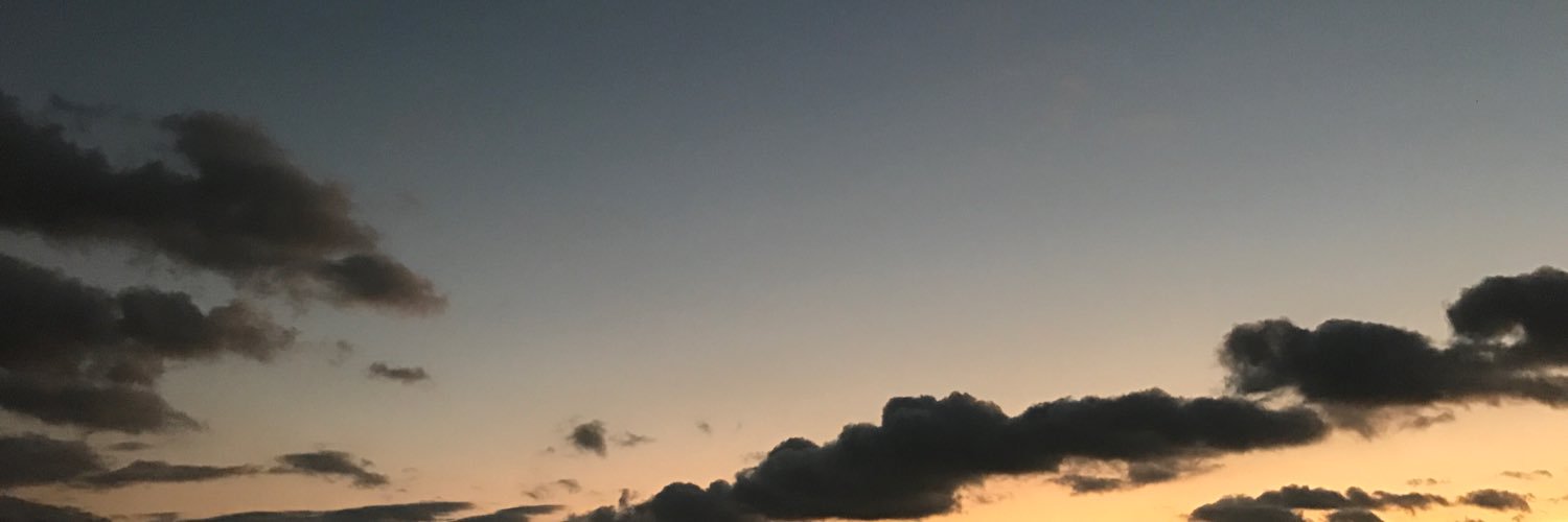 furutwin_real's profile banner image