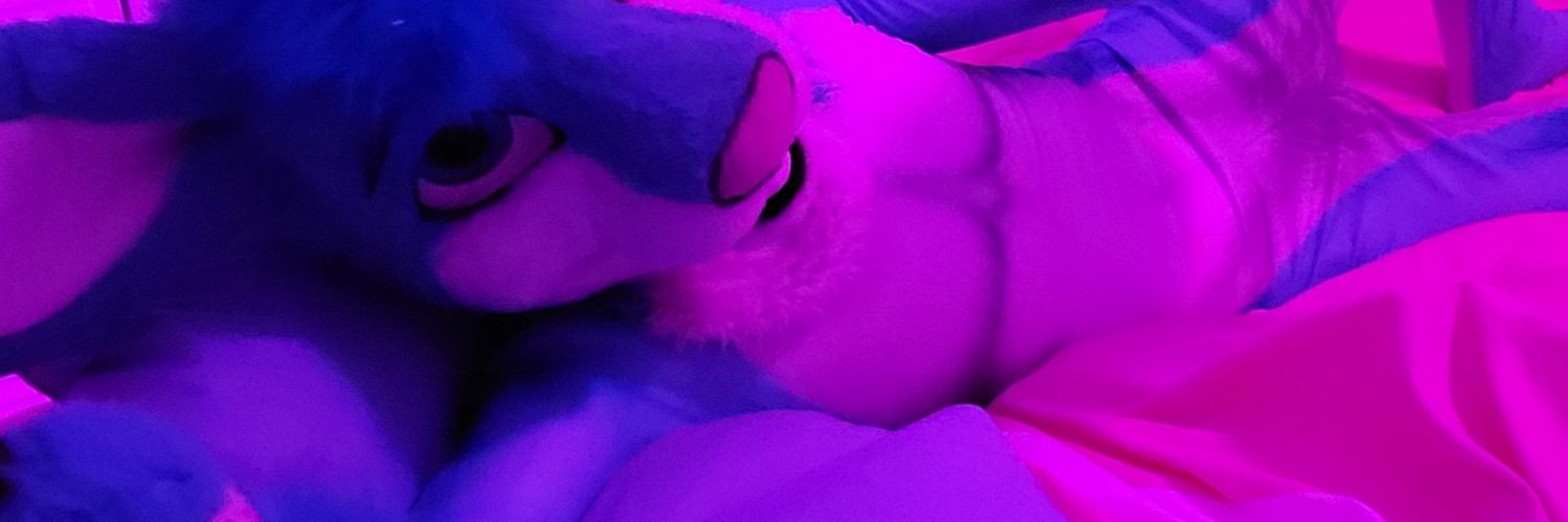 🐰 Frosti Chuffs 🐰 banner