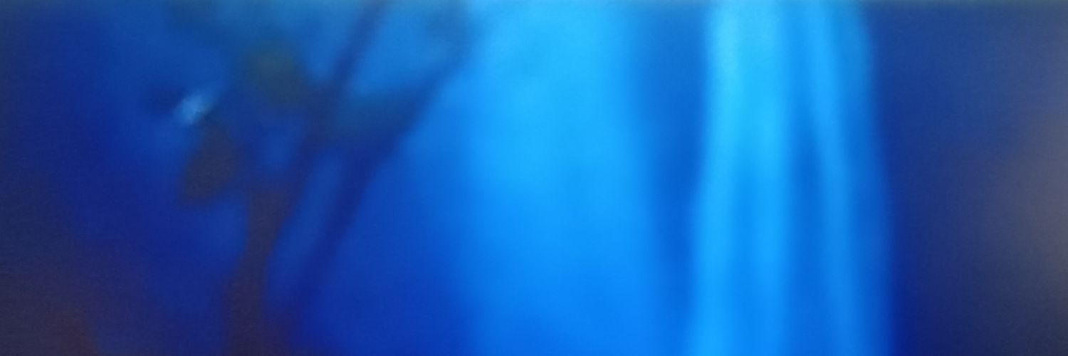 ROHALUS banner