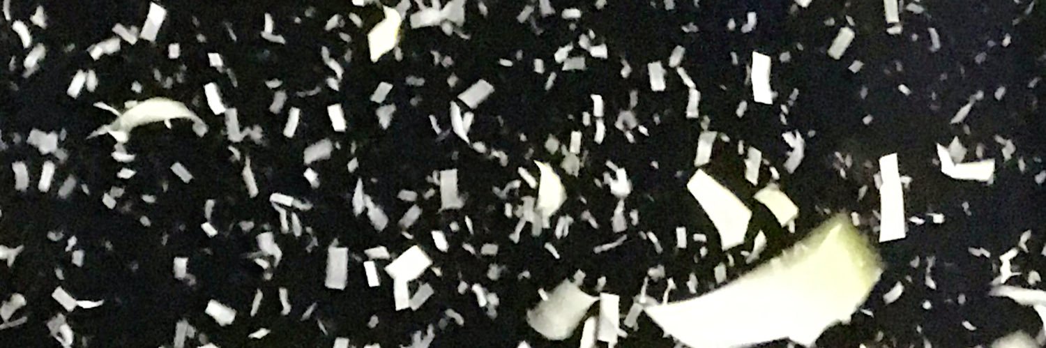 Nikki banner