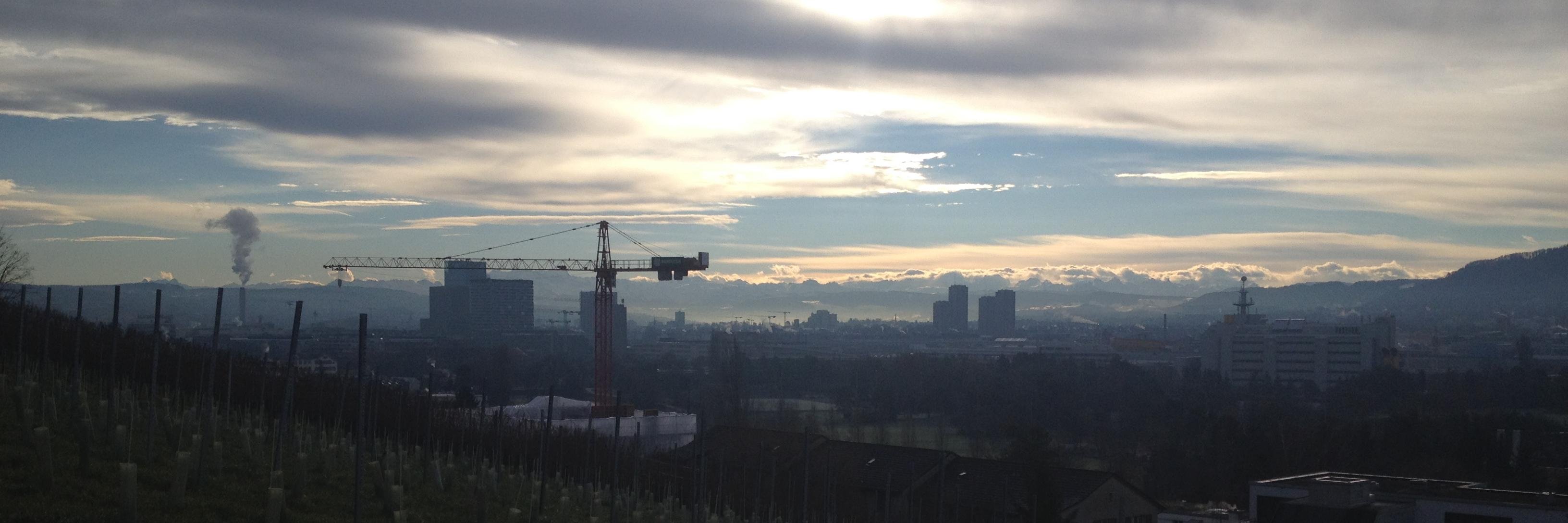 Michael Hermann banner