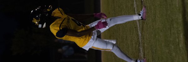 williams_davien Profile Banner