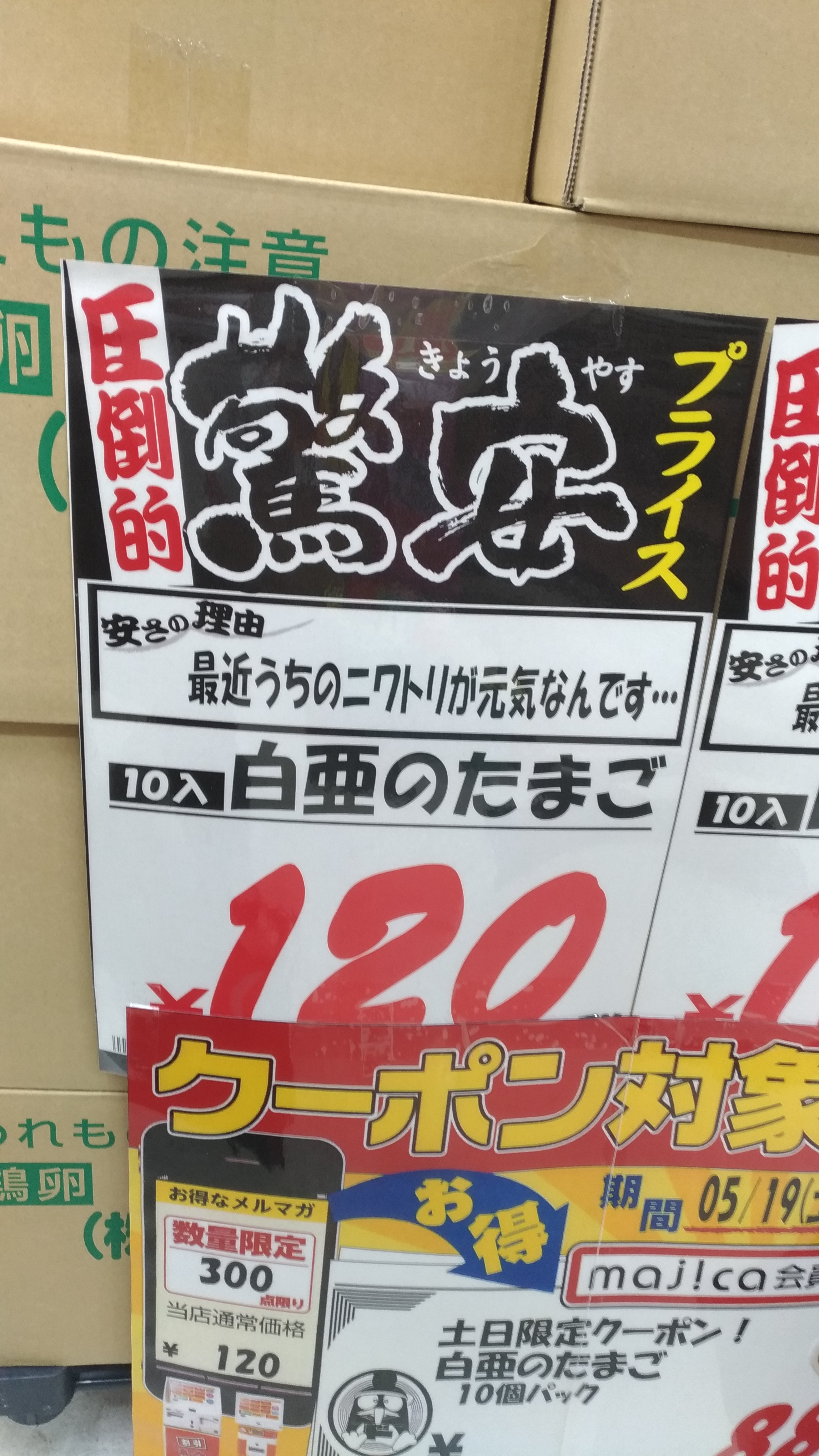 Usako_NGO's profile banner image