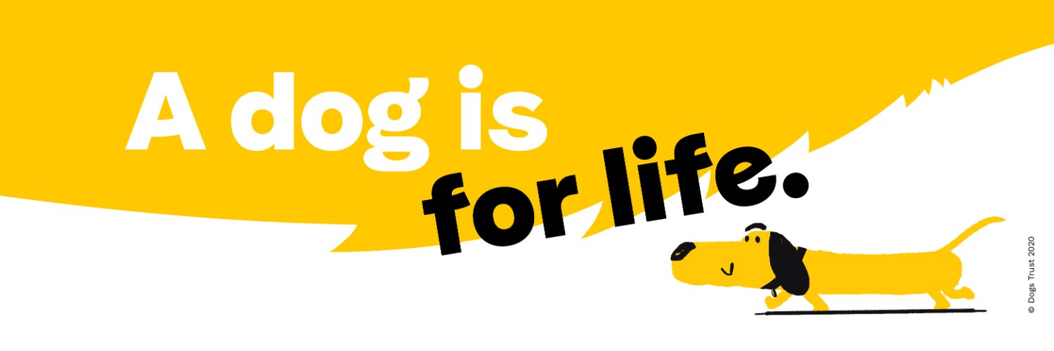 Dogs Trust 💛🐶 Profile Banner