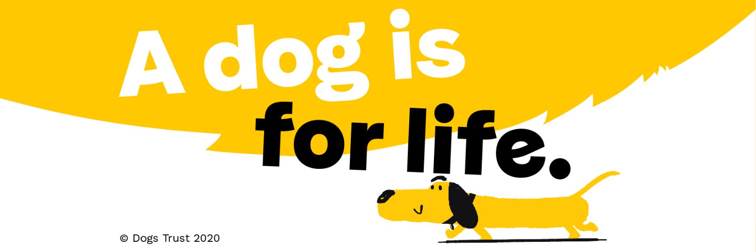 Dogs Trust 💛🐶 banner