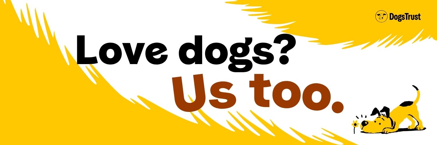 Dogs Trust 💛🐶 banner