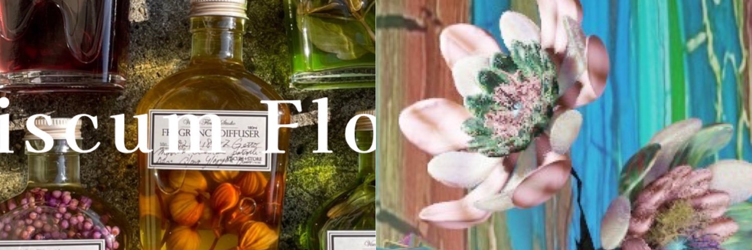 Viscum_Flower's profile banner image
