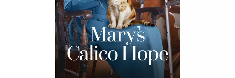 Anne Blackburne banner