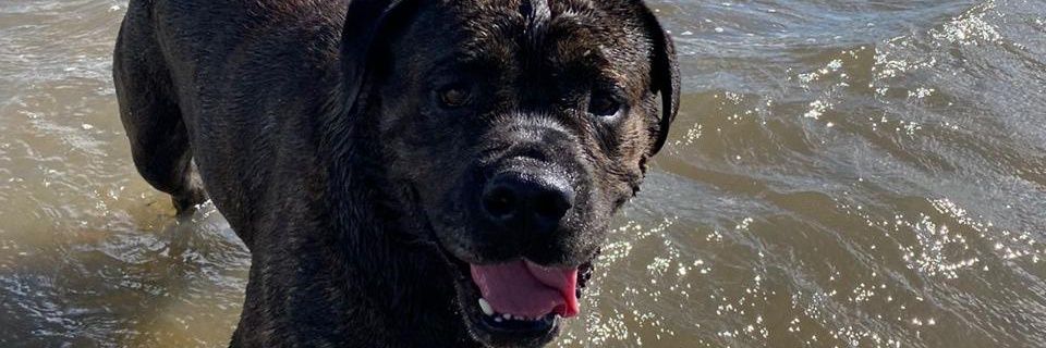 Valeenpucheta02's profile banner image