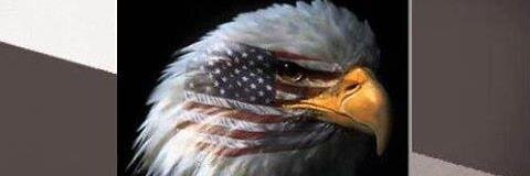 dbhardwick's profile banner image