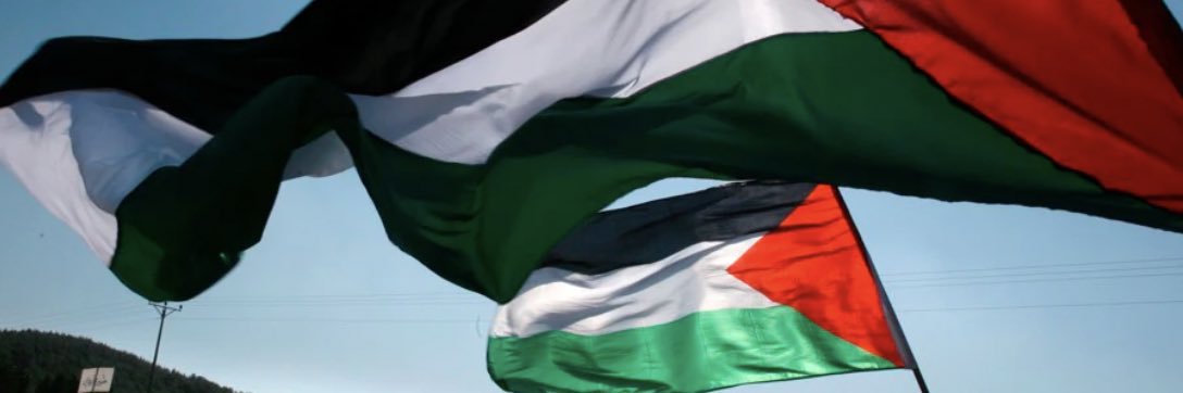 taleenbourii's profile banner image