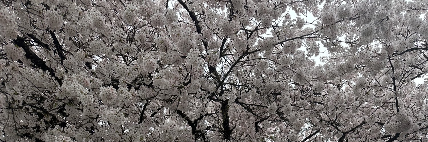 _jasmindrd's profile banner image