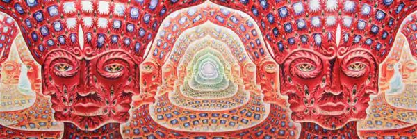 futileturtle Profile Banner