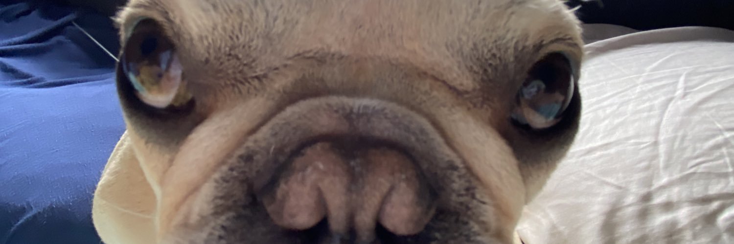 nicolelaurox's profile banner image