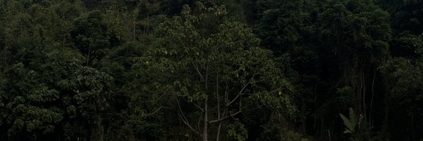 jimmiieyyy Profile Banner