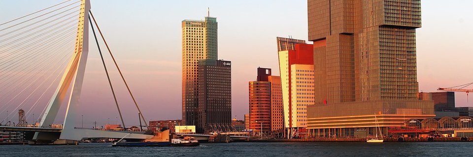 Diana van Eijk banner