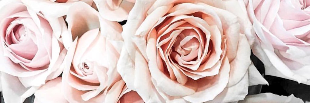 NatalieinDC's profile banner image