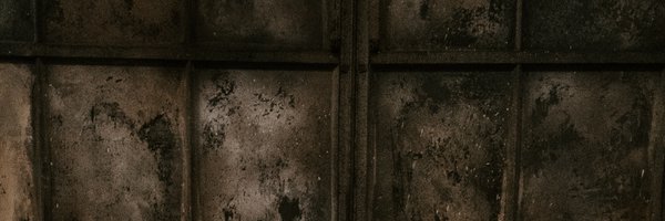 scottysalty Profile Banner
