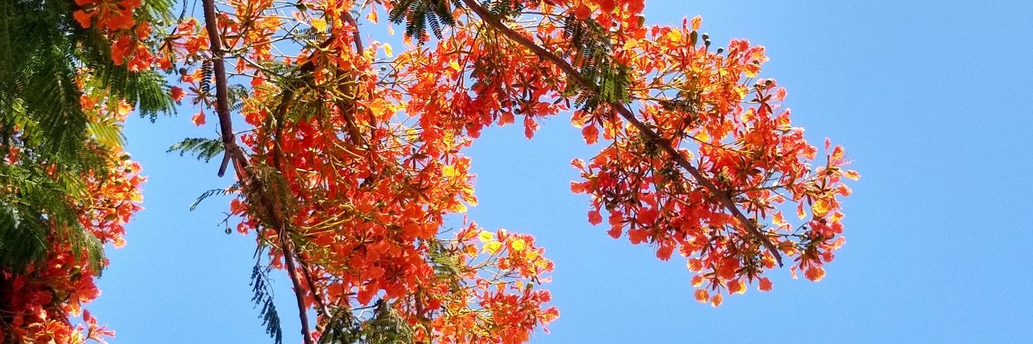 victoriavilca_'s profile banner image
