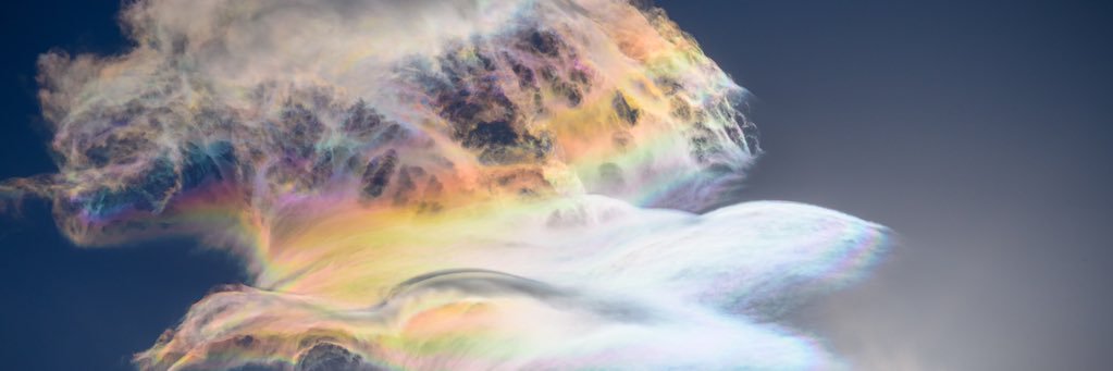 morimotomaru's profile banner image
