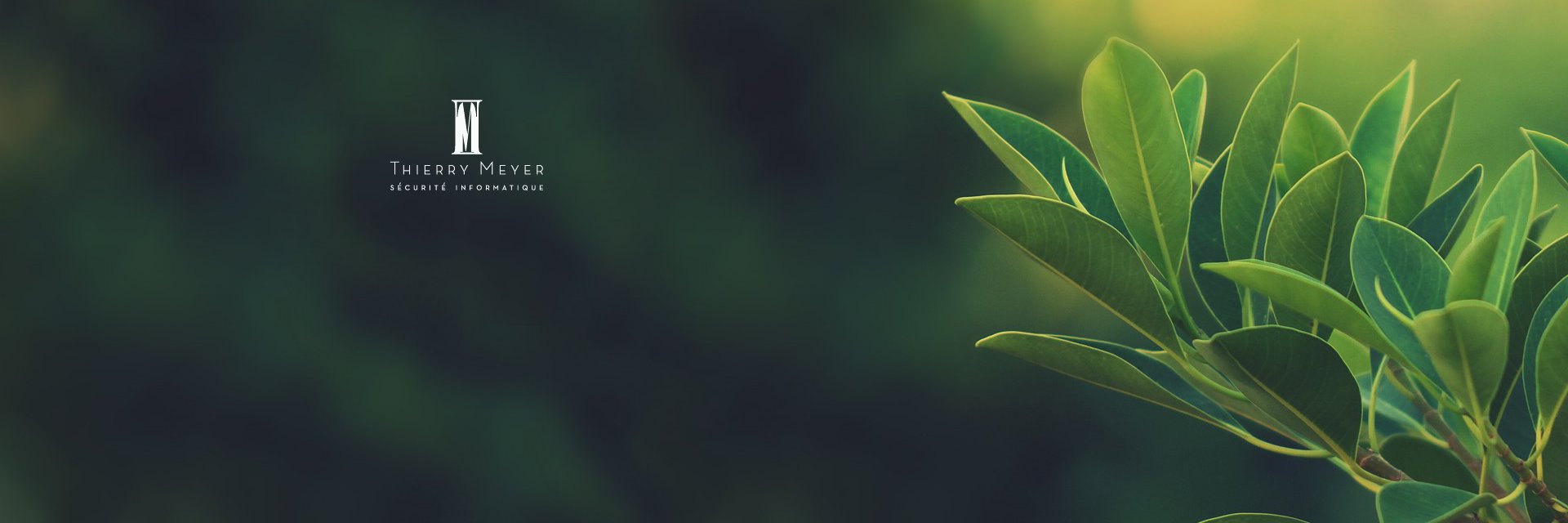 Thierry MEYER banner