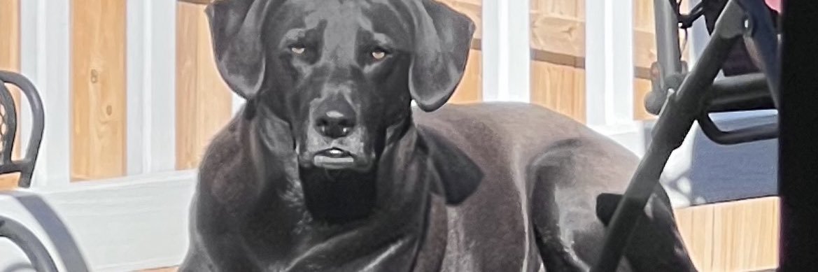 drockSub's profile banner image