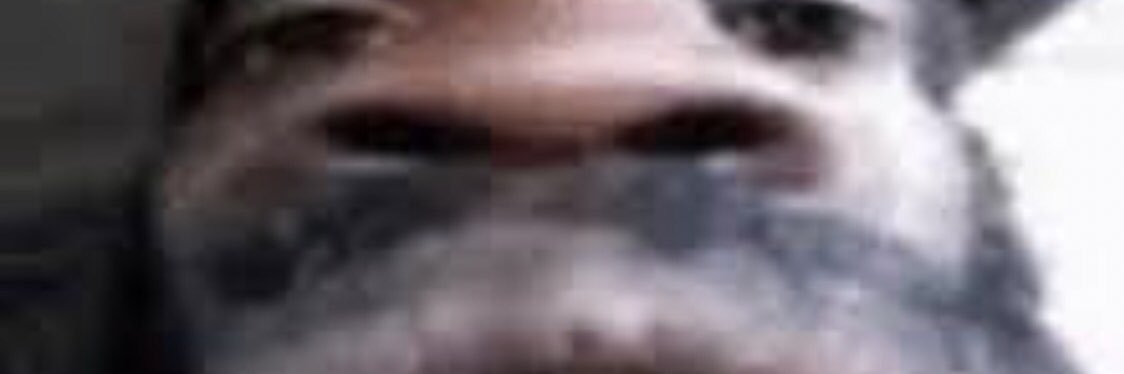 MLvrn07/🇫🇷/ banner