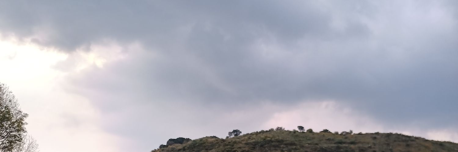 SkinnyHotXL's profile banner image