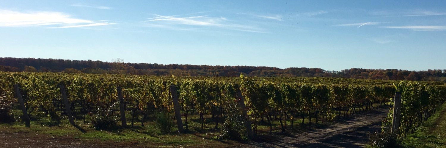 kewvineyards's profile banner image