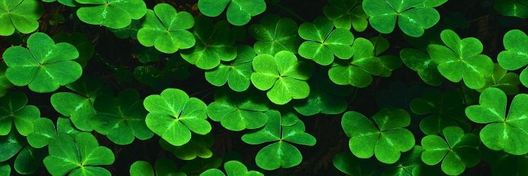 StockWatch247365 banner