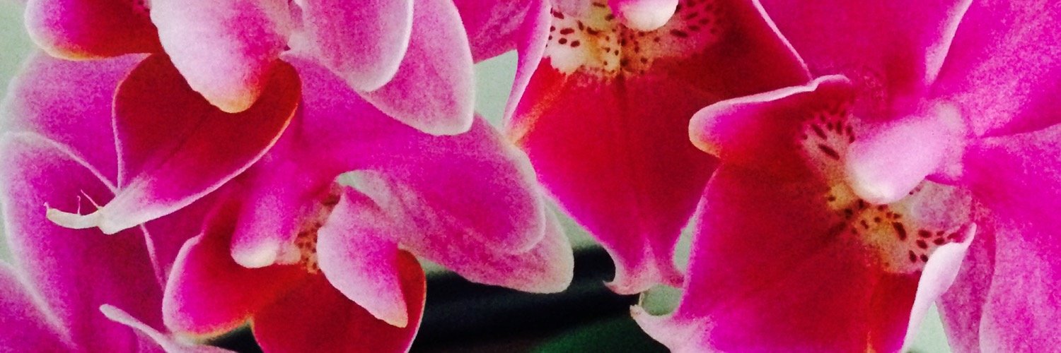 Coconutt23's profile banner image