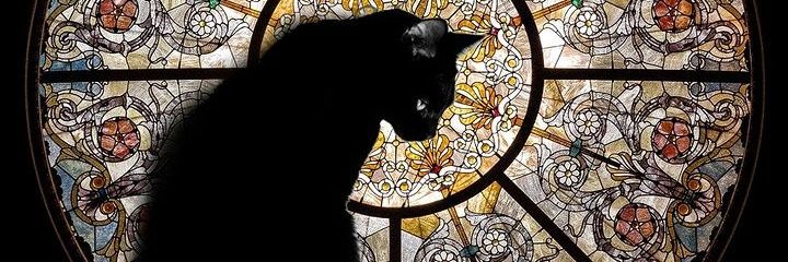 maybehamraz's profile banner image
