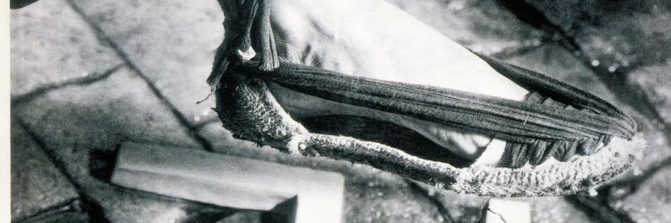 cdelcollado's profile banner image