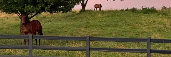 AgoTozza's profile banner image