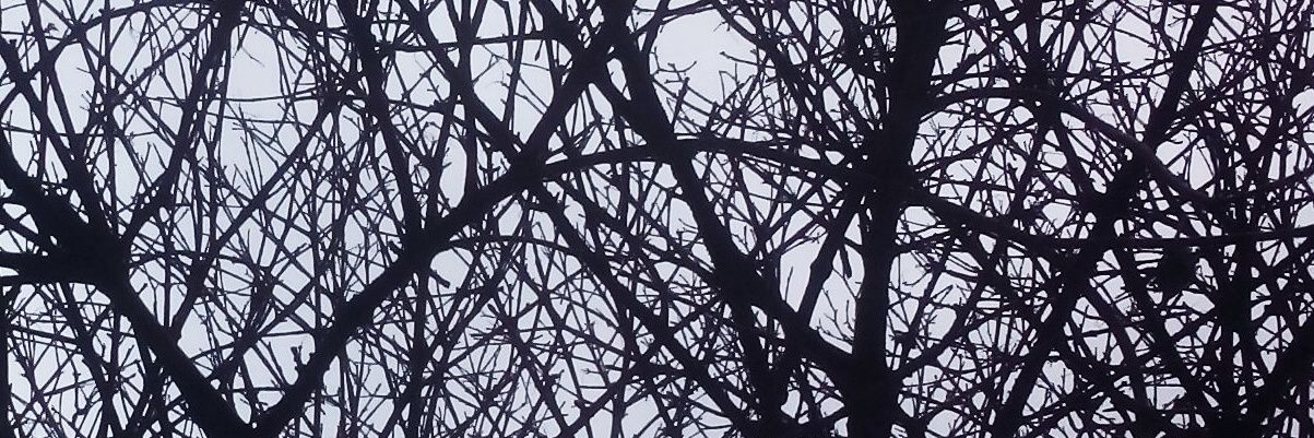 emilylyegg's profile banner image