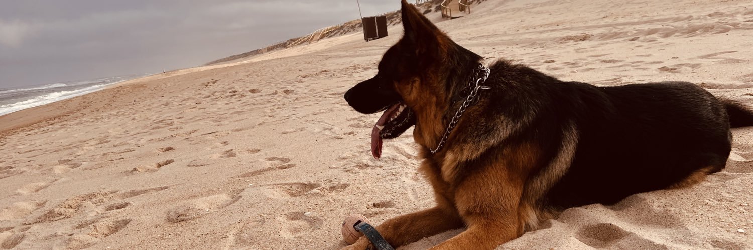 ajlmarques's profile banner image