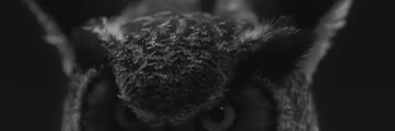 KMRLFZ's profile banner image